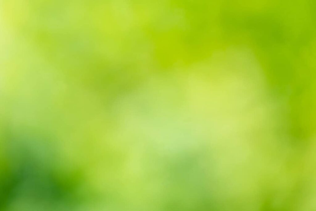 Defocussed green nature background